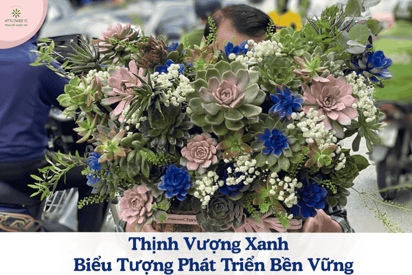 Shop Hoa Tươi Quận Tân Bình – Chuyên Hoa Khai Trương Theo Yêu Cầu